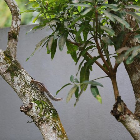 Thambara Villa Unawatuna Exteriér fotografie